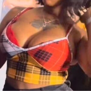 Colorful Plaid Crop Top